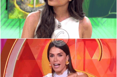 𝓉ℴ𝓉𝒶𝓁 𝓈ℯℊ𝓊𝓇𝒾𝒹𝒶𝒹