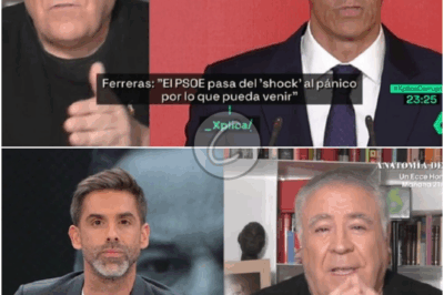 🆀🆄🅴🅳🅰 🅿🅾🆁 🅻🅻🅴🅶🅰🆁