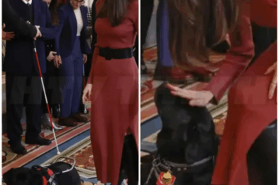 🌈 – Una experta en protocolo analiza el gesto más comentado de la reina Letizia: “Muestra su estilo personal de cercanía y espontaneidad”