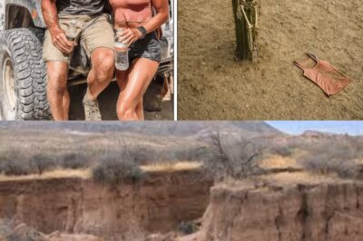 Exploradores creían haber encontrado una escultura en el desierto… Pero era un cadáver real, atrapado en un cactus gigante