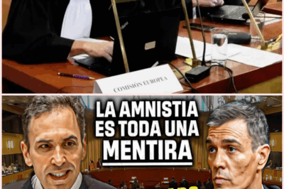 El Abogado de la Comisión Europea Desmonta la Amnistía de Sánchez en el Tribunal Europeo