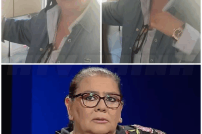 💅 – María del Monte, una de las atrapadas en caos de los trenes: «He salido de Madrid en junio y he llegado a Sevilla en julio»