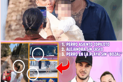 ¡Escándalo en Ibiza! Alejandra Rubio y Carlo Costanzia en el ojo del huracán por infracciones que hunden a Telecinco