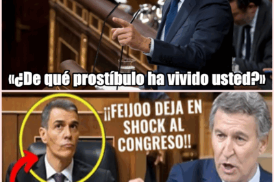 ¡Escándalo en el Congreso! Feijóo arremete contra Sánchez: «¿De qué prostíbulo ha vivido usted?»