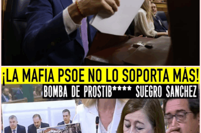 Escándalo en el Congreso: La bomba sobre las saunas del suegro de Sánchez que deja al PSOE en shock
