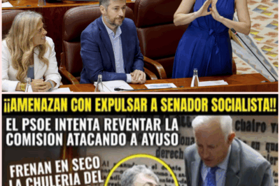 El PSOE Intenta Desestabilizar a Ayuso con Insultos durante la Declaración de Cerdán