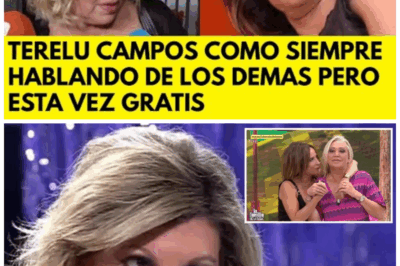 ¡Explota la guerra! Terelu Campos sentencia a sus excompañeros con una frase demoledora sobre su fracaso en TVE