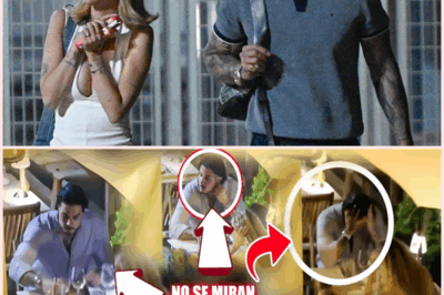 Las Impactantes Imágenes que Ponen en Duda el Romance entre Carlo Costanzia y Alejandra Rubio