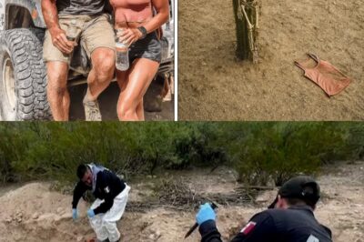 El cactus que lloraba sangre: así se resolvió el caso de la pareja desaparecida… ¡18 años después!