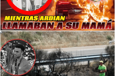 🚨 Filtran video donde DIOGO JOTA y su hermano gritan por su MADRE mientras arden vivos