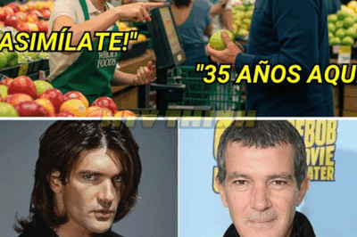 “¡ESTAMOS EN AMÉRICA, HABLA INGLÉS!” 🥚