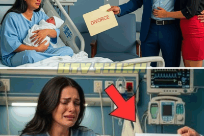 Dio a Luz y su Esposo le Pidió el Divorcio… Pero lo que Ella Hizo Nadie lo Esperaba