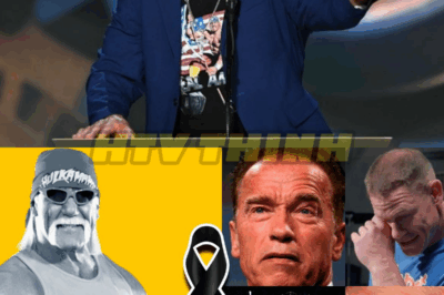 Así despiden los Famosos de Hulk Hogan ¡Le Piden Perdón!
