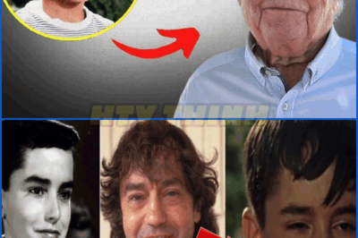 🌹😔 Joselito Cumple Más de 80 Años y su Historia se Llena de Melancolía: ¿Qué Fue del Niño que Enamoró a Toda una Generación? 🎶🌙