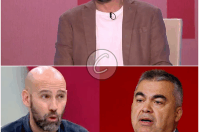 𝐬𝐮 𝐬𝐮𝐬𝐭𝐢𝐭𝐮𝐭𝐨