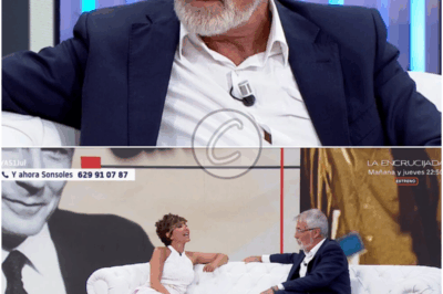 𝚚𝚞𝚎 𝚑𝚊 𝚛𝚎𝚌𝚒𝚋𝚒𝚍𝚘