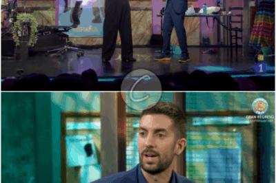 𝘿𝙚 𝙡𝙤𝙨 𝙢𝙚𝙟𝙤𝙧𝙚𝙨 𝙥𝙧𝙤𝙜𝙧𝙖𝙢𝙖𝙨