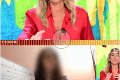𝐚𝐭𝐚𝐪𝐮𝐞𝐬 𝐝𝐞 𝐮𝐧 𝐢𝐧𝐯𝐢𝐭𝐚𝐝𝐨