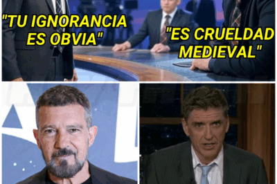 🌈 – La historia REAL de cómo Antonio Banderas transformó la ignorancia cultural en educación televisiva.