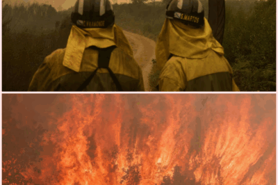 Galicia en llamas: 10 días de incendios devastadores arrasan aldeas, cortan carreteras y dejan a Ourense al borde del colapso