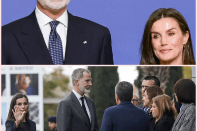 Los reyes Felipe VI y Letizia anuncian la importante decisión que han tomado tras los incendios en España