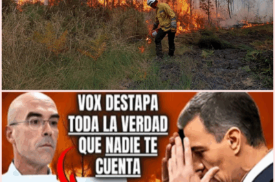 🔥 ¡La VERDAD OCULTA detrás de los INCENDIOS en ESPAÑA! VOX REVELA lo que NADIE TE CUENTA 😱