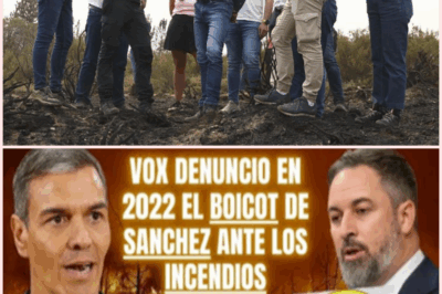🔥 ¡Descubre la Verdad Oculta Detrás de los Incendios: La Advertencia de VOX Hace 3 Años! 😱 ¿Es Sánchez el Verdadero Culpable? 🔥