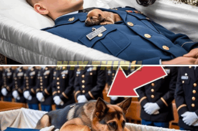 El perro no dejaba de ladrar frente al ataúd un milagro sucedió que nadie podía esperar