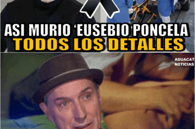 Asi MURIO Eusebio Poncela ACTOR hoy TODOS LOS DETALLES de la muerte de Eusebio Poncela 2025