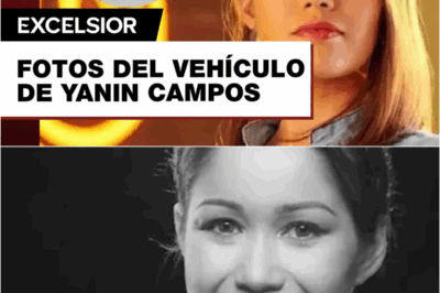 Filtran FOTOS de la camioneta donde falleció Yanin Campos, ex participante de MasterChef México