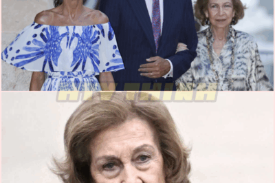 🔥👑 ¡INÉDITO Y ESCÁNDALO REAL! La reina Sofía rompe con una tradición familiar de décadas y NO VIAJA a Mallorca junto a Felipe y Letizia 😱💥