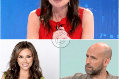 𝔫𝔲𝔢𝔳𝔬 𝔪𝔞𝔤𝔞𝔠𝔦́𝔫