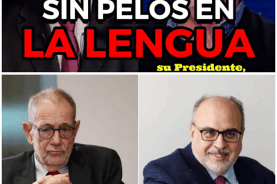 ¡INEPTITUD EN VALENCIA! La catástrofe que desnuda al PP y sus escándalos ocultos