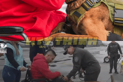 Patrullero sobreviviente del ataque en Amalfi, Antioquia, se reencuentra con su perro Telmo