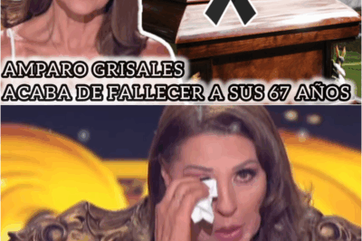 Colombia Está de Luto por el Fallecimiento de la Actriz AMPARO GRISALES PATIÑO Actriz y Modelo