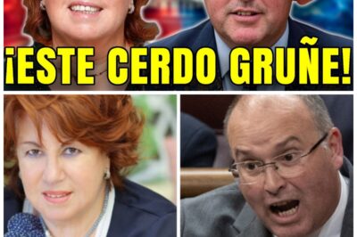 🔥 El Congreso arde: Rosa Villacastín DESTROZA a Tellado por su actitud “ruin y vergonzosa” ✅