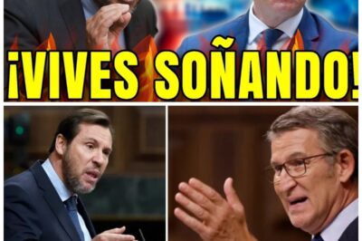 🎯 Óscar Puente le lanza el ZASCA más demoledor a Feijóo y lo deja sin respuesta: “no ganáis ni sabéis sumar” ⭐️