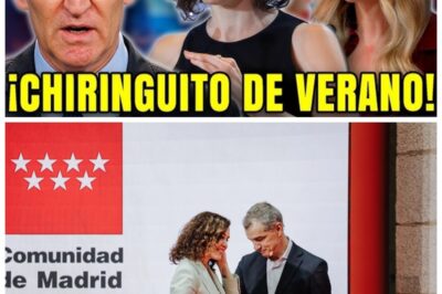 🏛🔥 El chiringuito oculto de Ayuso: la autopista secreta hacia el imperio universitario privado