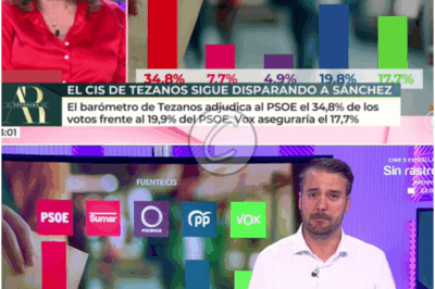 15 𝔭𝔲𝔫𝔱𝔬𝔰