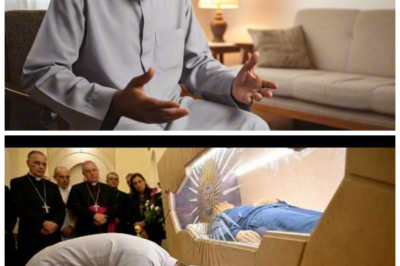 🐈 ¡GIRO IMPENSABLE EN ASÍS! Un musulmán 🕌 visitó por simple curiosidad la tumba del Santo Carlo Acutis y salió conmocionado, con testigos hablando de lágrimas incontrolables, sacerdotes en shock, peregrinos murmurando teorías imposibles y una cadena de sucesos posteriores que hoy provoca discusiones feroces entre creyentes y escépticos que no logran ponerse de acuerdo sobre lo que realmente ocurrió aquel día Lo que parecía un paseo turístico terminó en una escena que muchos describen como “algo que no se puede explicar con palabras”, mientras los rumores se disparan y el visitante rompe su silencio con frases que inquietan incluso a los más incrédulos 👇