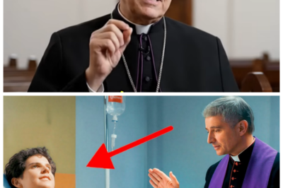 🐈 El sacerdote que entró en la habitación final de Carlo Acutis ✨ y salió con una historia que heló la sangre, recuerdos que se niega a olvidar y detalles que hoy resurgen como un rompecabezas espiritual imposible de encajar en un mundo hambriento de milagros, dudas y revelaciones tardías La voz se quiebra, los gestos tiemblan y alguien murmura con ironía “cuando un testigo tarda tanto en hablar… es porque la escena nunca se fue”, 👇