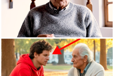 🐈 Tengo 86 años y Carlo Acutis me visitaba en el asilo de Asís… 😱 Lo que me susurró al oído la noche antes de que cerraran la capilla dejó a las monjas temblando, desató una guerra silenciosa entre el clero y cambió para siempre el testamento que mi familia llevaba décadas esperando, porque lo que parecía una tierna visita pastoral escondía una revelación tan explosiva que hoy divide al pueblo entre creyentes y escépticos, mientras yo, la anciana olvidada, me convierto en la pieza clave de un misterio que nadie quiere que salga a la luz 🔥 A sus 86 años, cuando todos pensaban que solo esperaba el final en una habitación fría, esta mujer asegura que el joven beato la miró fijamente y le reveló un secreto que hizo temblar los cimientos del asilo; “claro, seguro fue un simple sueño”, murmuran con ironía quienes ahora evitan pronunciar su nombre, pero las decisiones que tomó después provocaron un escándalo que todavía arde en Asís 👇