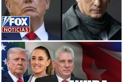 🐈 El Pulso de las Sanciones 💼 ¿Estrategia efectiva o combustible para el nacionalismo? La discusión sobre el impacto real de la presión estadounidense vuelve al centro del escenario 📊 Expertos económicos advierten que el efecto puede sentirse en remesas, turismo e inversión; “todo es culpa de afuera”, replican unos, “todo es culpa de adentro”, responden otros, y entre ambos extremos la población enfrenta la parte más tangible del debate 👇