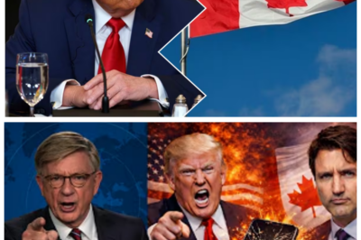 🐈 Canadá “humilla” a Trump 💥 y su supuesto estallido de furia sacude Internet, convierte una disputa diplomática en fenómeno viral y desata una tormenta de memes, análisis políticos y titulares incendiarios que mezclan orgullo nacional, estrategia comercial y egos en choque frontal, mientras redes sociales arden con clips editados, frases fuera de contexto y una narrativa que crece más rápido que los propios hechos 🌎🔥 Todo comenzó con declaraciones cruzadas que algunos interpretaron como desaire público; “otra pelea sobredimensionada por las redes”, ironizan comentaristas, pero el intercambio elevó la tensión mediática y colocó a ambos países en el centro de un debate digital que no da tregua 👇