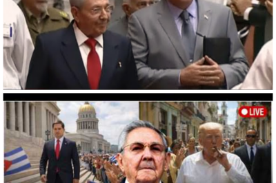 🐈 Sin Diálogo, Solo Presión 🏛️ La postura atribuida a Trump coloca la salida de figuras clave como condición implícita y reabre el debate sobre sanciones, soberanía y viabilidad de cambios internos 🌩️ Mientras sectores celebran la firmeza, otros advierten que la historia demuestra lo complejo de forzar transiciones desde el exterior; “todo se resolverá con más presión”, dicen algunos, pero el escenario sugiere múltiples variables en juego 👇