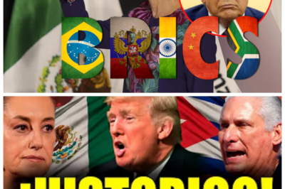 🐈 ¡ESTALLA LA CUMBRE DE LA OMC! 💥 BRICS, Cuba y México desafían abiertamente a EE.UU. en una ofensiva legal que promete sacudir los cimientos del comercio global y exponer tensiones que ya nadie puede disimular en los pasillos diplomáticos! 🌎 Lo que debía ser una reunión técnica terminó convertido en un campo de batalla retórico donde delegaciones cruzaron acusaciones y discursos incendiarios, y mientras los micrófonos captaban sonrisas tensas alguien susurró con ironía “solo es comercio, nada personal”, frase que sonó más a advertencia que a broma 👇