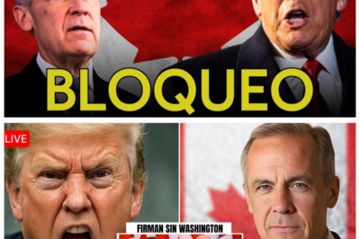 🐈 URGENTE: Canadá le “quita” el Ártico a Estados Unidos… 🧊 y Washington queda fuera en una jugada que sacude el tablero geopolítico del norte Lo que comenzó como una disputa técnica sobre límites marítimos y plataformas continentales terminó convertido en un terremoto diplomático que dejó comunicados tensos, expertos hablando de soberanía estratégica y analistas especulando sobre recursos energéticos ocultos bajo el hielo; mientras algunos celebran la firmeza canadiense, otros en Washington advierten que la historia no termina aquí, porque claro, “en el Ártico nadie regala territorio… solo cambia la narrativa” 🧊👇