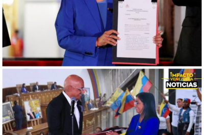 🐈 AMNISTÍA 2026: ¿borrón y cuenta nueva selectiva? ⚖️ La decisión impulsada por Delcy Rodríguez que desata sospechas sobre quiénes quedan dentro… y quiénes fuera Lo que fue presentado como un gesto de reconciliación nacional ahora enfrenta cuestionamientos sobre los criterios de aplicación, mientras sectores políticos y organizaciones civiles debaten si la medida realmente busca cerrar heridas o si establece límites que benefician a unos más que a otros; el discurso oficial insiste en convivencia y estabilidad, pero críticos advierten que sin transparencia plena y revisión independiente la percepción pública puede inclinarse hacia la desconfianza, porque como murmuran con ironía, “no todo borrón limpia por igual” ⚖️👇