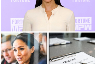 🐈 Meghan Markle DEMANDS Image Rescue 🎬🔥 Reportedly Pressures Netflix to “Fix” Her Reputation or Face Explosive Backlash 👇 Insiders claim tensions are simmering as Meghan Markle is said to be urging Netflix to recalibrate her on-screen narrative amid growing criticism, with one sarcastic industry voice whispering, “You can’t edit public opinion in post-production,” 💥 while speculation mounts that executives are weighing brand optics, subscriber reactions, and the high-stakes gamble of doubling down on a polarizing royal export.