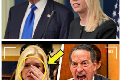 🐈 $10 BILLION Shockwave 💰🔥 Trump Scores Massive Payout While Epstein Victims Allegedly Get NOTHING, Bondi Thrust Into the Spotlight 👇 Outrage ricocheted across political circles as claims swirled that Donald Trump secured a staggering $10 billion windfall while victims connected to Jeffrey Epstein were left empty-handed, igniting fierce scrutiny of Pam Bondi and prompting critics to sneer, “Justice seems to have a price tag,” 🔥 as commentators clashed over what the numbers really mean and who ultimately bears responsibility.